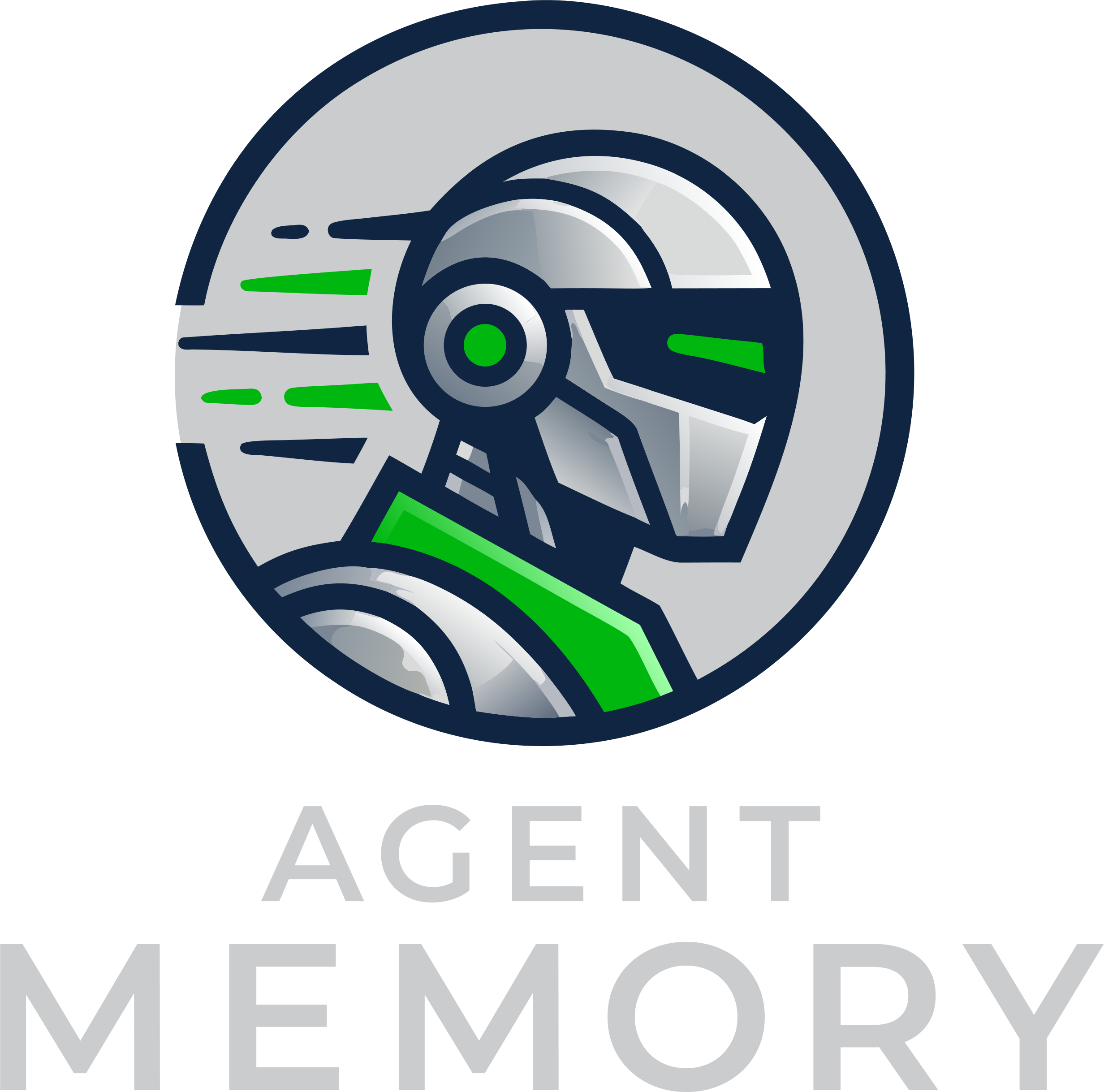 Agent Memory